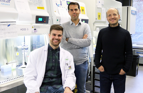 Scientists discover super-stretchy cells Scientists discover super-stretchy cells