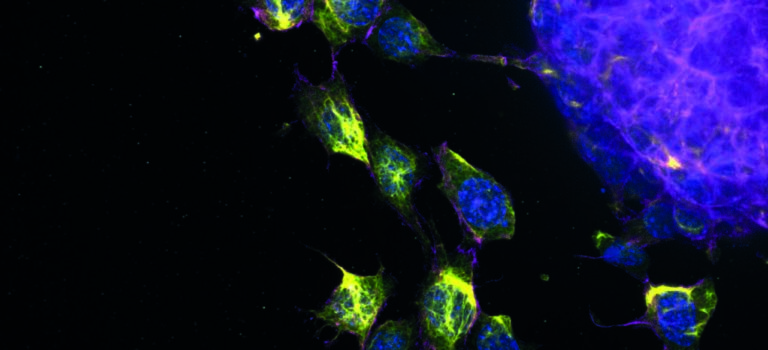 Mechano·Control featured at the Winter Issue of the EU Research Magazine