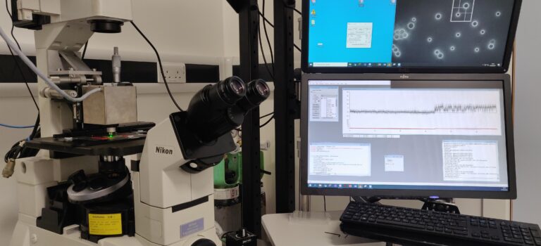 Project Stories: Interview with Marc Mora